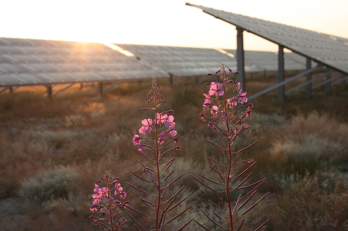 Investing in our future, i.e. solar power. Photo: NABU/Eric Neuling