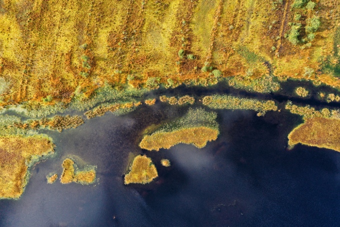 aerial shot of the peatlands in the Slowinski National Park, Poland