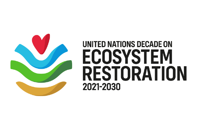 UN Decade on Ecosystem Restoration begins 5 June with a new peatland conservation guideline issued
