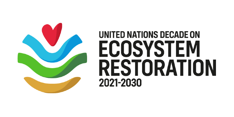 Logo: United Nations