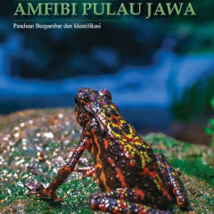 Amfibi di Pulau Jawa - book cover