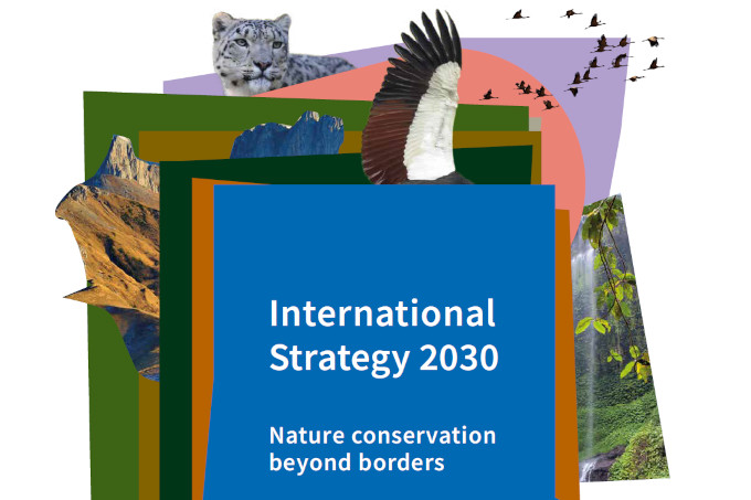 International Strategy 2030, thumbnail - NABU