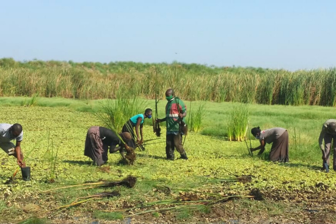 The Yala delta provides 250,000 farmers with vital resources such as fish, papyrus and wood - photo: Nature Kenya