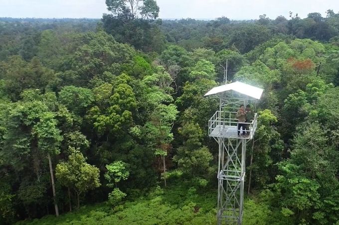 Metal fire tower in the middle of the rainforest