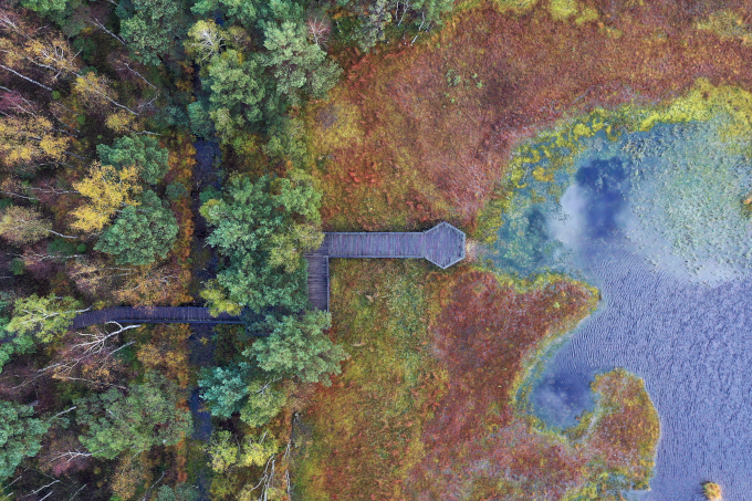 Bird's eye view of peatland in Slowinski National Park in Poland: In the project LIFE Peat Restore coordinated by NABU, 5,300 hectares of peatland were rewetted here and in other peatland areas in Europe - photo: Volker Gehrmann (info@karacho.berlin)