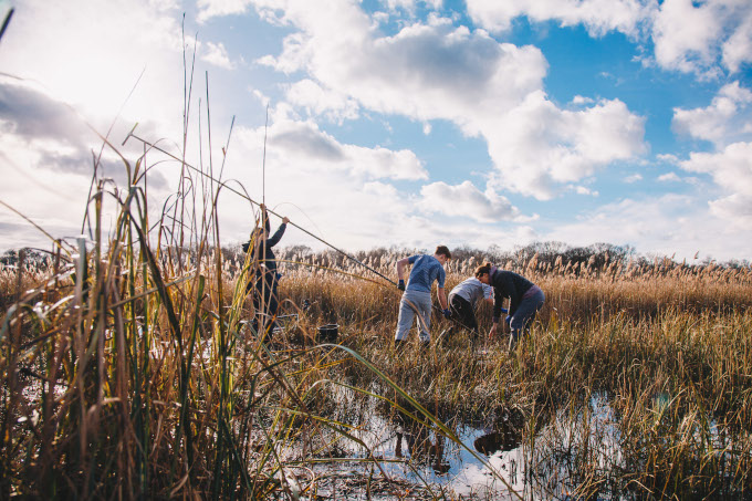 Young scientists probing wetlands - photo: Tom Barrett / Broads Authority