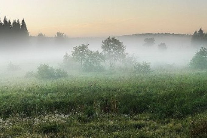 Fog over the variegated landscape of "Zacharovanyj Kraj" National Park - Foto: USPB