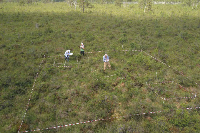 The LIFE Peat Restore team from Tallinn University setting up the vegetation monitoring plot in overgrowing transition mire, Suursoo-Leidissoo project site, Estonia