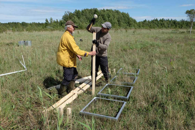 Installation of greenhouse gas (GHG) monitoring plot, Suursoo-Leidissoo project site, Estonia