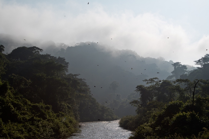 Southwest Ethiopia holds some of the last remaining Afromontane cloud and rain forests of Ethiopia - photo: Mathias Putze
