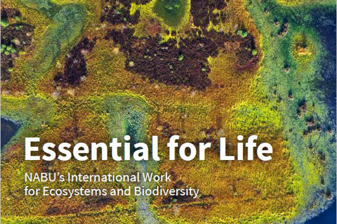 NABU's International Work for Ecosystems and Biodiversity - Foto: NABU