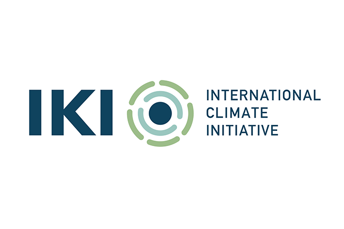 International Climate Initiative