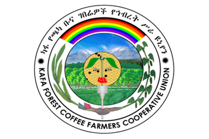 Logo Kafa Forest Coffee Farmers Cooperative Union (KFCFCU) - Foto: KFCFCU